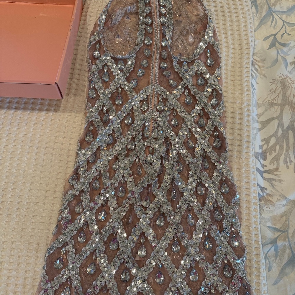 NWT Abella Bella Barnett Sheer Cocktail Dress